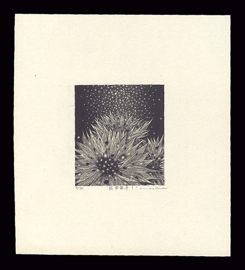 栗田政裕「胘暈華・序・I」