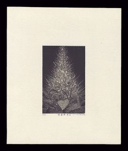 Kurita Masahiro / 眩暈華・序・II