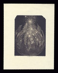 栗田政裕「眩暈華II」