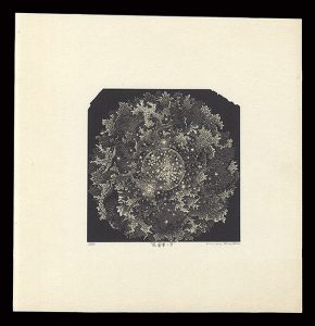 栗田政裕「眩暈華V」