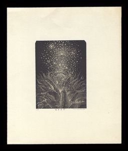 栗田政裕「眩暈華IIII」