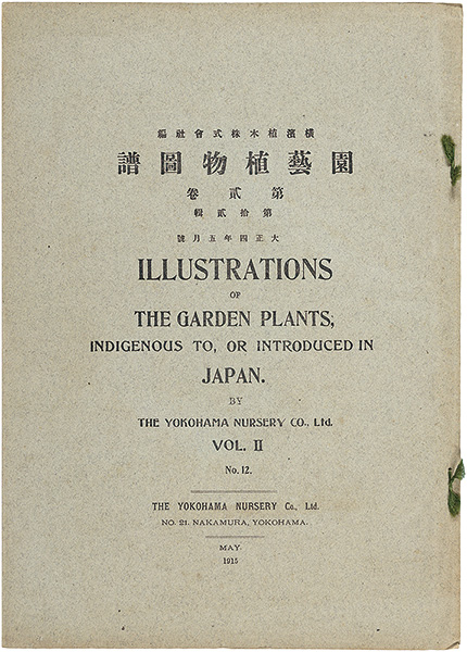 “Illustrations of The Garden Plants, Indigenous to, or Introduced in Japan, Vol. II. No.Xii / Iris ” 横浜植木株式会社 編