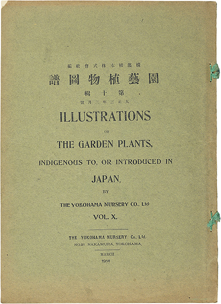 “Illustrations of The Garden Plants, Indigenous to, or Introduced in Japan, Vol. X. / Narcissus ” 横浜植木株式会社 編