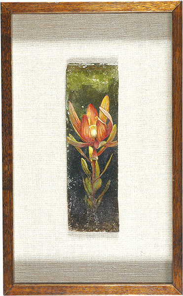 Fujinami Rieko “Candlepower”