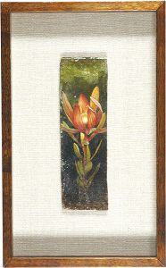 Fujinami Rieko / Candlepower