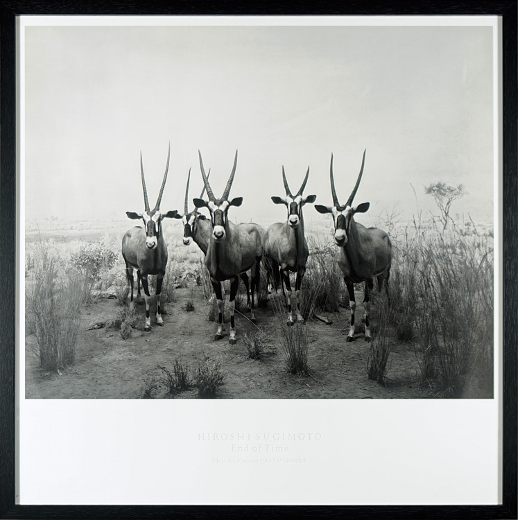 杉本博司「Gemsbok, 1980」