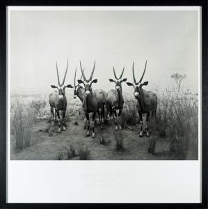 Gemsbok, 1980