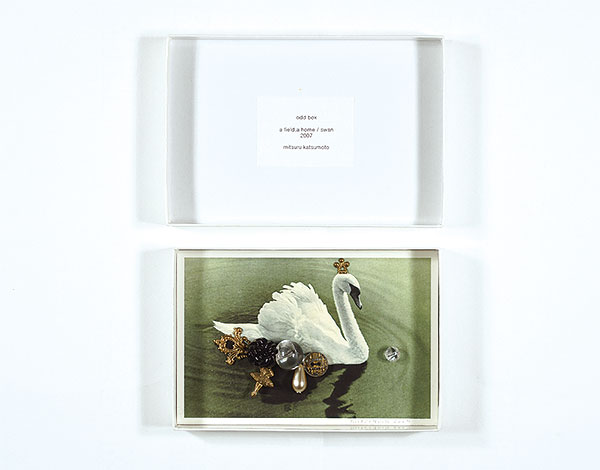 Katsumoto Mitsuru “Odd box／a field a home／swan”