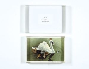 勝本みつる「Odd box／a field a home／swan」