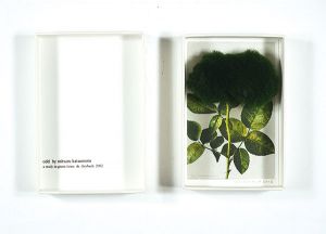 勝本みつる「Odd／a study in green／anne de diesbach 2002」