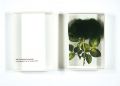 Odd／a study in green／anne de d......