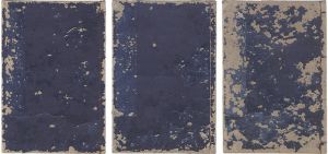 雪蕉斎（寺井重房）「画本拾葉」