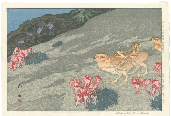 Yoshida Hiroshi “Twelve Scenes in the Japan Alps / Snow Grouse and Dicentra Flowers”