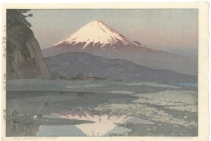 Ten Views of Fuji / Okitsu