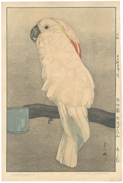 Yoshida Hiroshi “At the Zoological Garden / Salmon-crested Cockatoo”