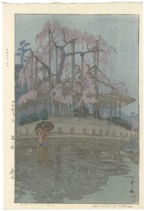 Eight Scenes of Cherry Blossom / Spring Rain