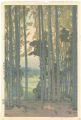 Bamboo Grove