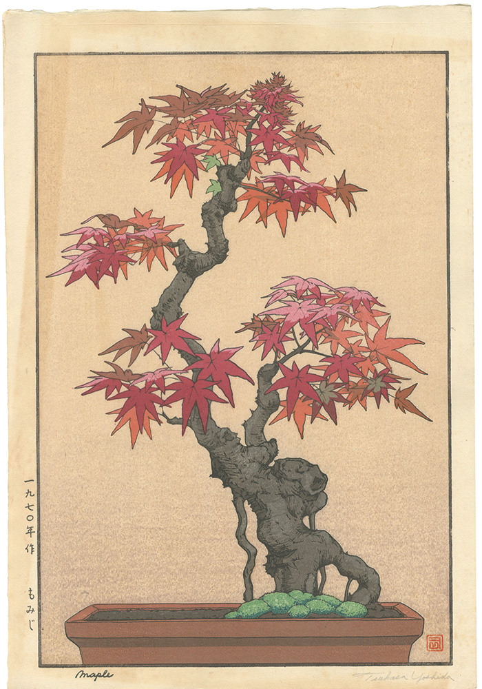 Yoshida Tsukasa “Maple”