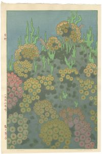 Yoshida Toshi / Sea Horses