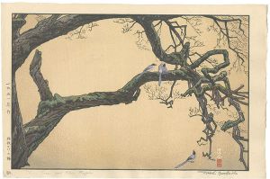 Yoshida Toshi / Plum Tree and Blue Magpie