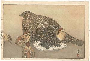Yoshida Toshi / Raicho