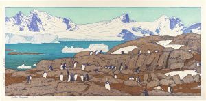 Yoshida Toshi / Gentoo Penguins