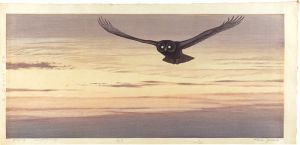 Yoshida Toshi / Flying