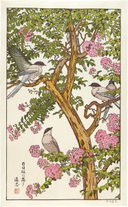 Yoshida Toshi / Gathering around Sarusuberi