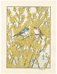 Yoshida Toshi / March