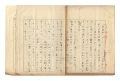 Autograph manuscript:About por......