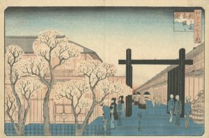 Hiroshige I / Famous Places in Edo: Spring Morning in the New Yoshiwara [江戸名所之内　新吉原春曙ノ図]