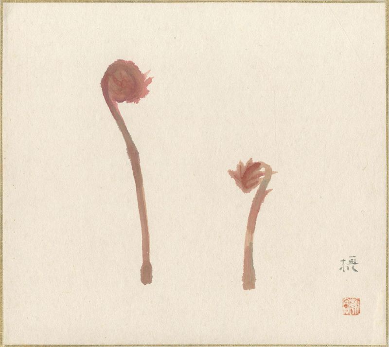 Asakura Setsu “Shikishi Paper Board”
