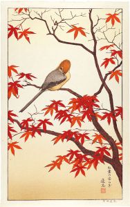 Yoshida Toshi / Serenity of Red Maple