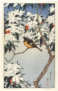 Yoshida Toshi / Sitting under Snow-covered Leaves
