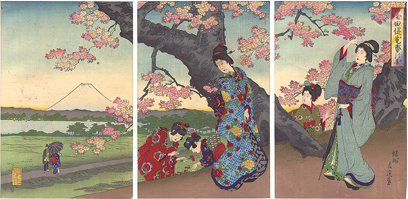 Chikanobu “Cherry Blossoms in Full Bloom at Sumida River Embankment”