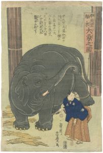 Yoshitoyo / The Great Elephant Imported from Central India [中天竺舶来 大象之図]