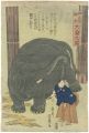 The Great Elephant Imported fr......