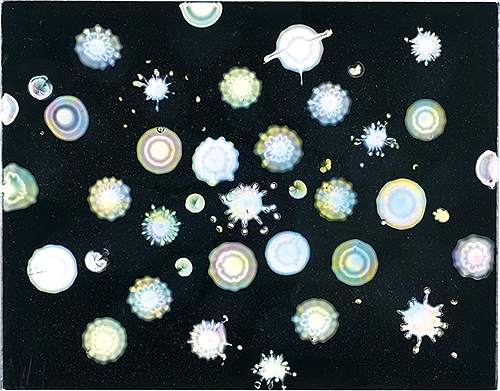 庄野文平「microcosmos」