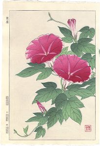 Kawarazaki Shodo / Morning glory