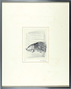 Kazuki Yasuo / Hedgehog