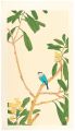 Loquat and a Java Sparrow