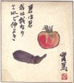 Shikishi Paper Board
