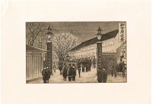 Ozeki Toyo / Famous Places in Tokyo / Shin-Yoshiwara night view [東京名勝図絵　新吉原夜景]