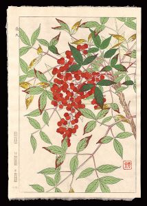 Kawarazaki Shodo / Nandina domestica