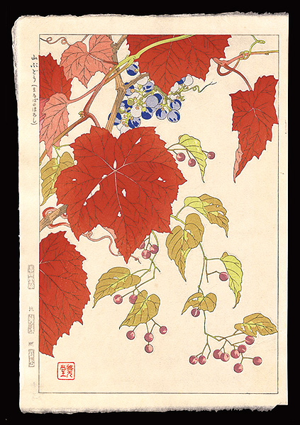 Kawarazaki Shodo “Mountain grape (Solanum maximowiczii)”
