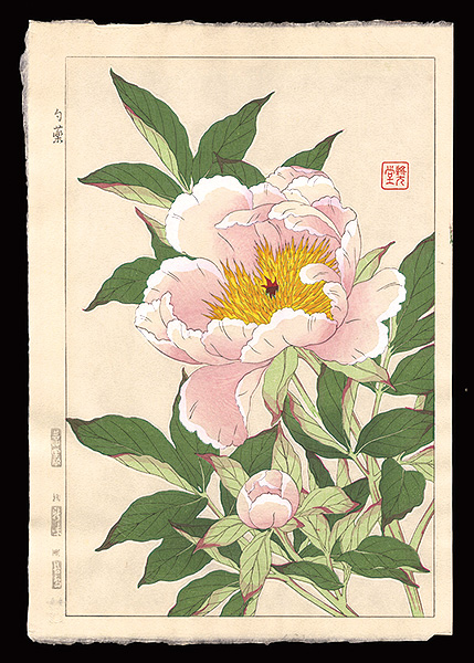 Kawarazaki Shodo “Peony”