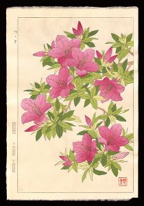 Kawarazaki Shodo / Azalea