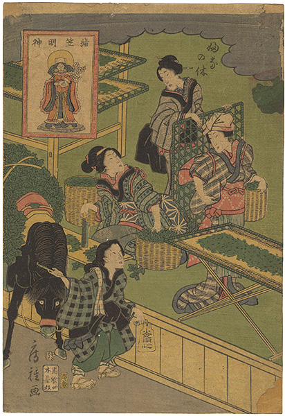 Fusatane “Kinugasa Myojin”