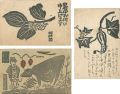 Postcards