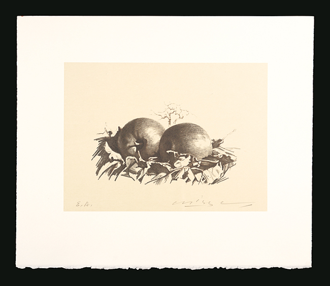 Misu Yuji “Apples (tentative title)”